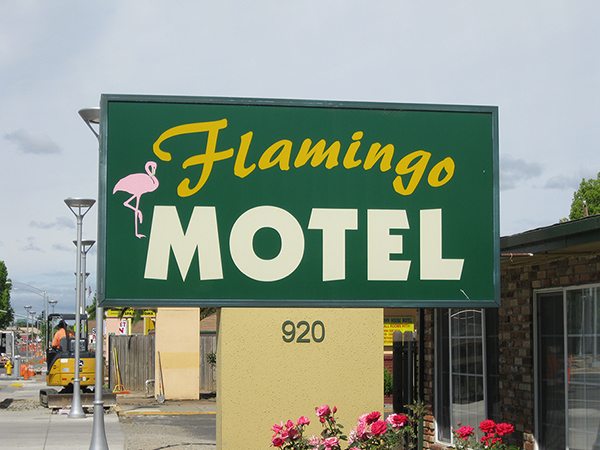 flamingo inn motel